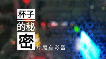 乐山酒店爆料视频最新版,揭秘酒店内幕，引发网友热议